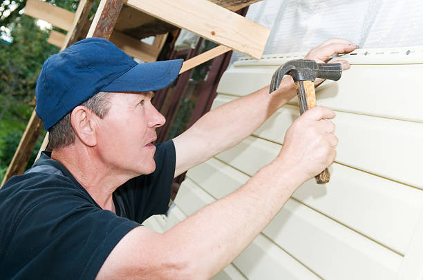 Best Insulated Siding Installation  in Fort Valley, AZ