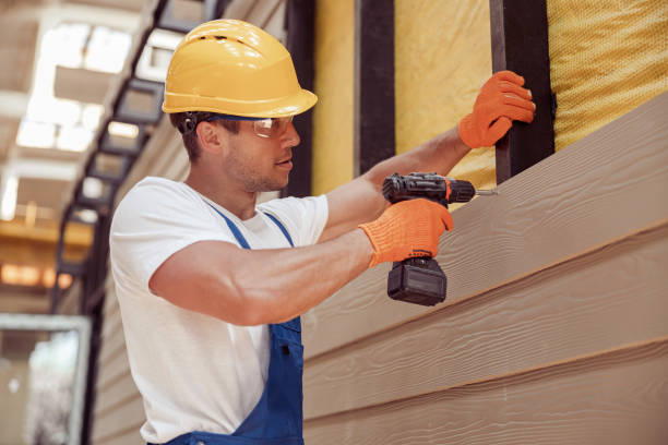 Best Custom Trim and Detailing for Siding  in Fort Valley, AZ